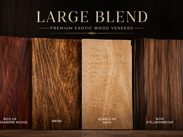 Unique Larges Blanks-Blanks Uniques Grand Format
