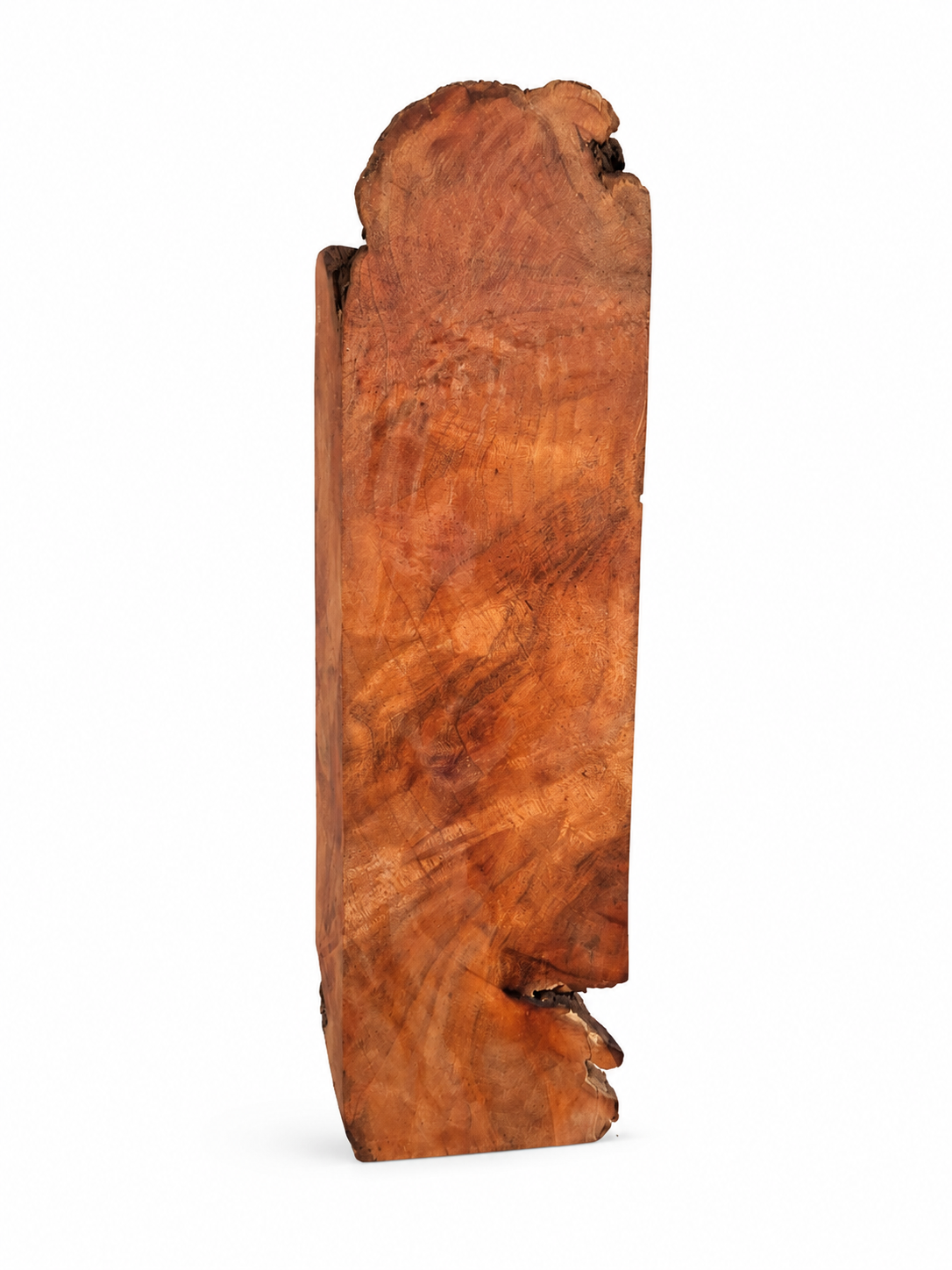 Maple Burl – One-of-a-Kind Natural Wood Piece – 6 1/2" × 1 7/8" × 7/8"