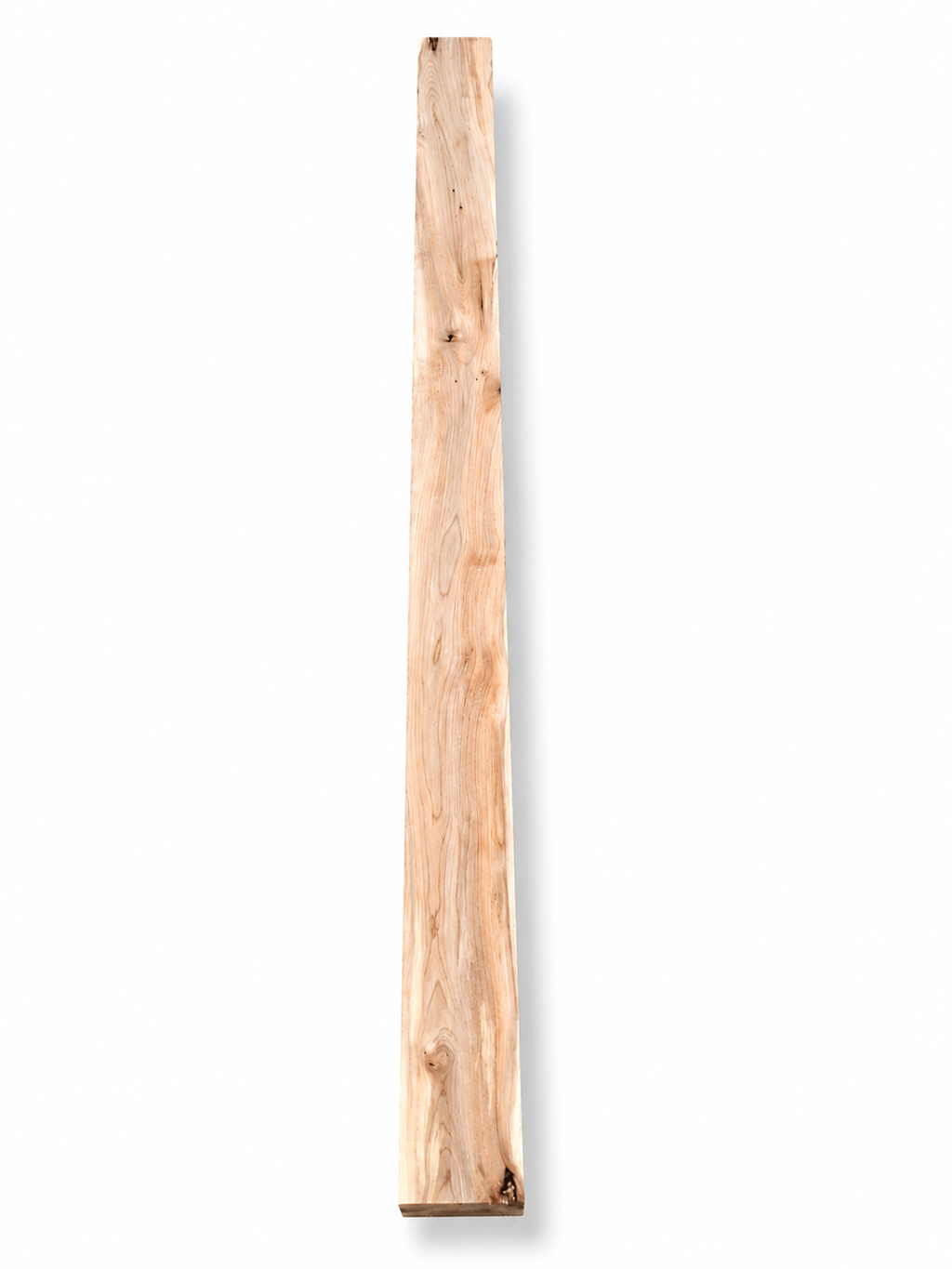 Premium Spalted Maple Timber – Exceptional Figure – Heavy Statement Piece