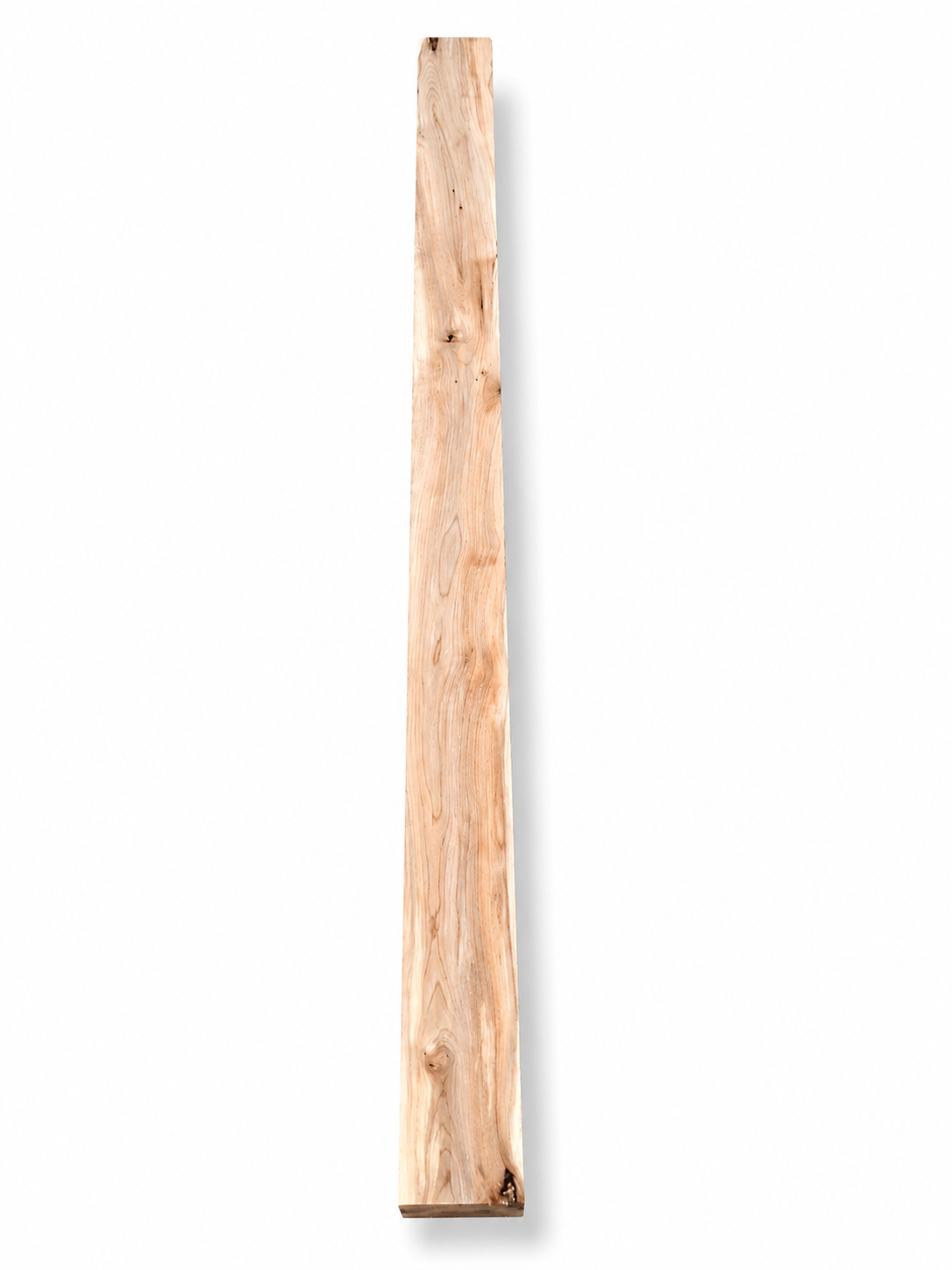 Premium Spalted Maple Timber – Exceptional Figure – Heavy Statement Piece