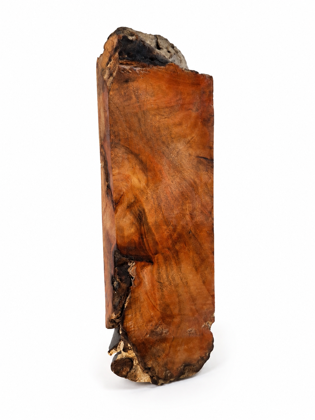 Maple Burl – One-of-a-Kind Natural Wood Piece – 6 1/2" × 1 7/8" × 7/8"