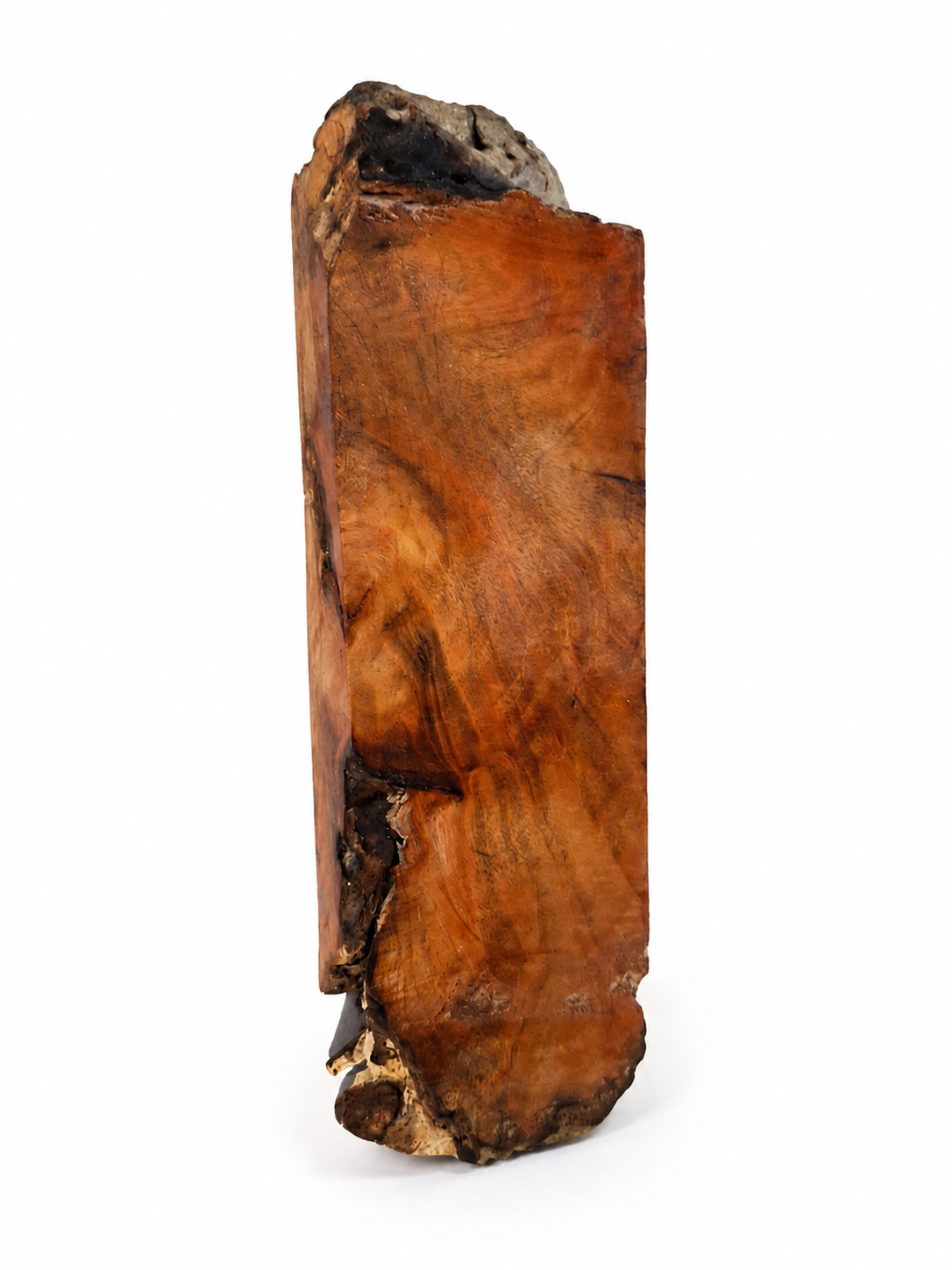 Maple Burl – One-of-a-Kind Natural Wood Piece – 6 1/2" × 1 7/8" × 7/8"