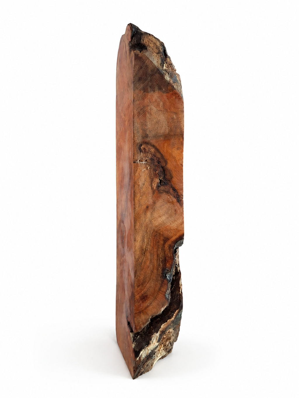 Maple Burl – One-of-a-Kind Natural Wood Piece – 6 1/2" × 1 7/8" × 7/8"
