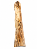 Monumental Natural Spalted Wood Slab – One-of-a-Kind Sculptural Forest Piece