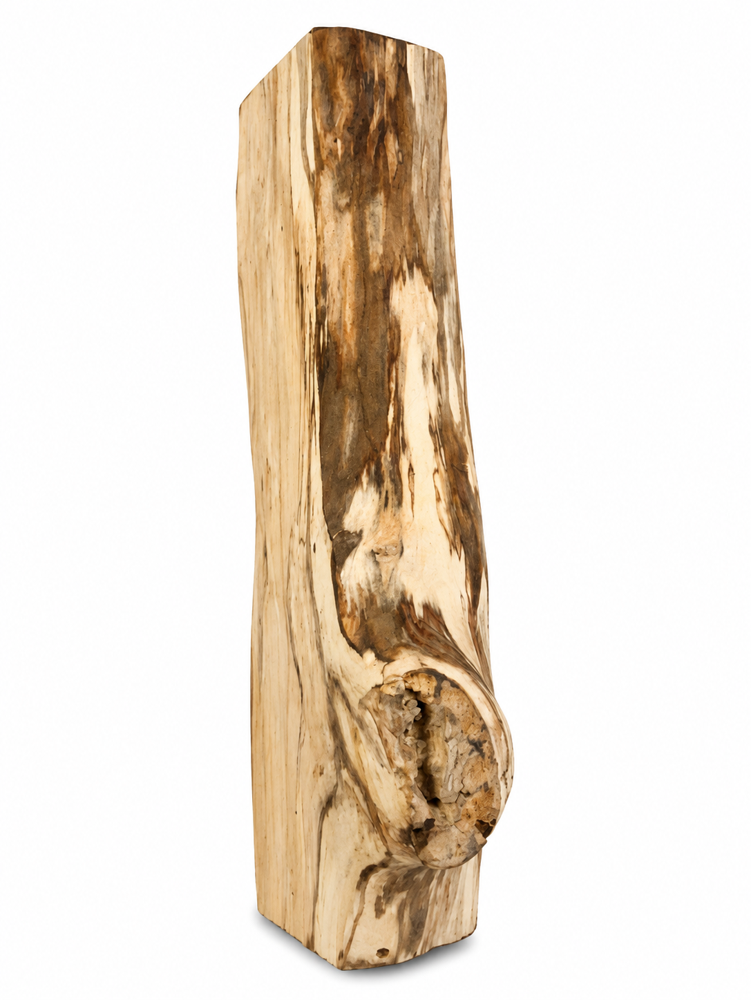 Spalted Maple Natural Log Centerpiece – One-of-a-Kind Forest Creation