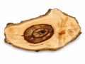 Natural Maple Burl Knot – Figured Forest Art Piece