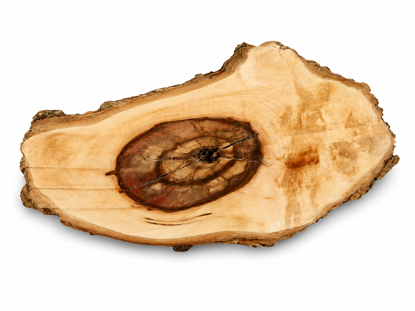 Natural Maple Burl Knot – Figured Forest Art Piece