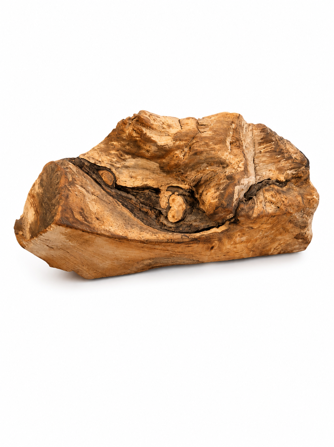 Natural Forest Sculpture Piece – One-of-a-Kind Organic Wood Form