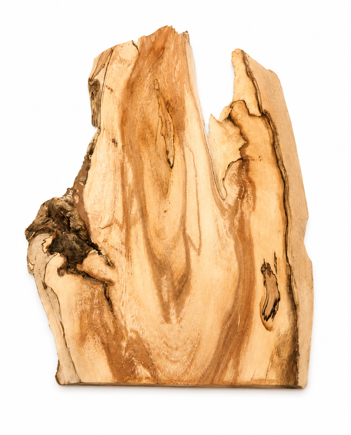 Spalted Birch Natural Forest Slab – One-of-a-Kind Creative Wood Piece
