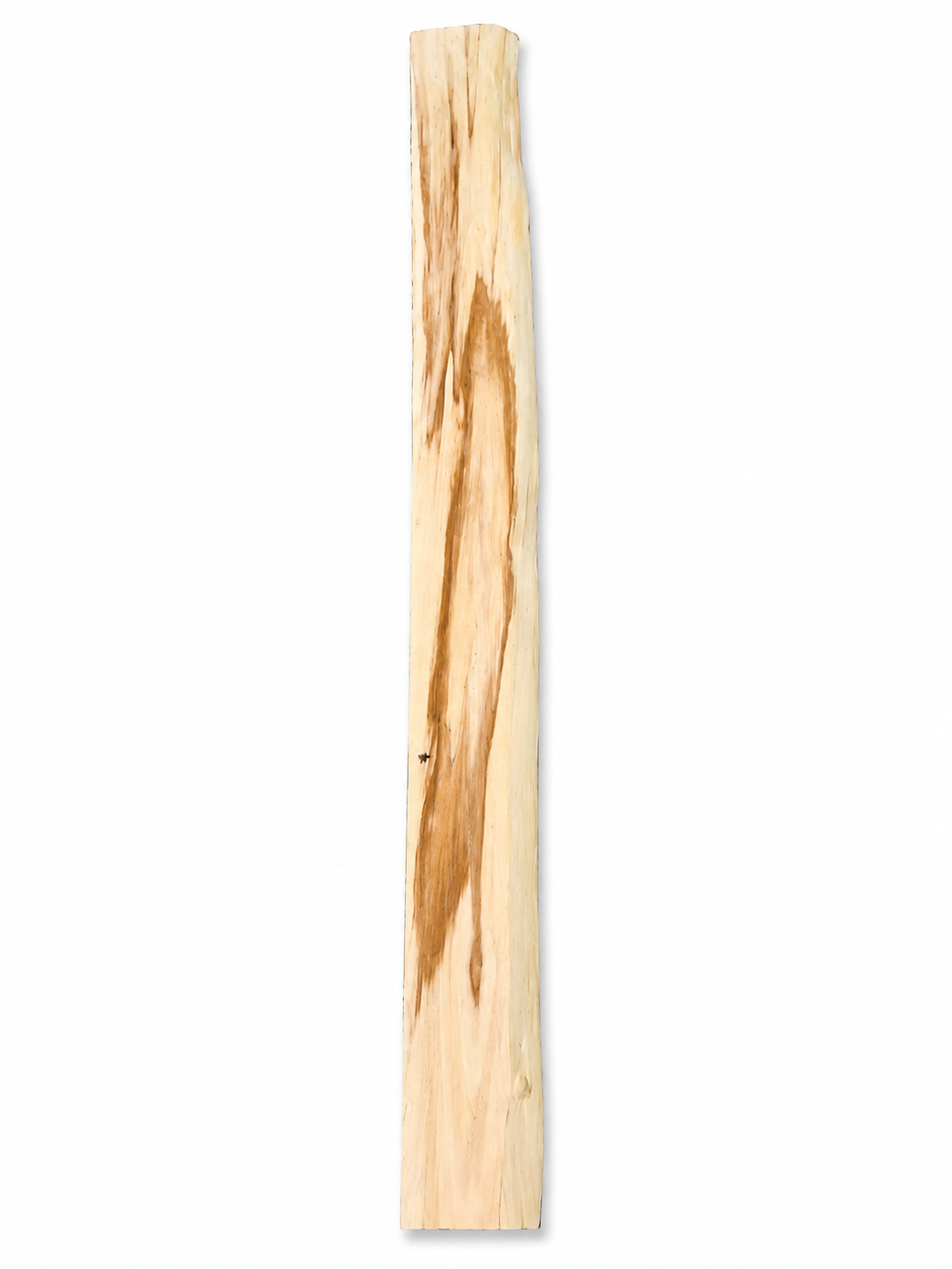 Spalted Paper Birch – Natural Forest Piece #3