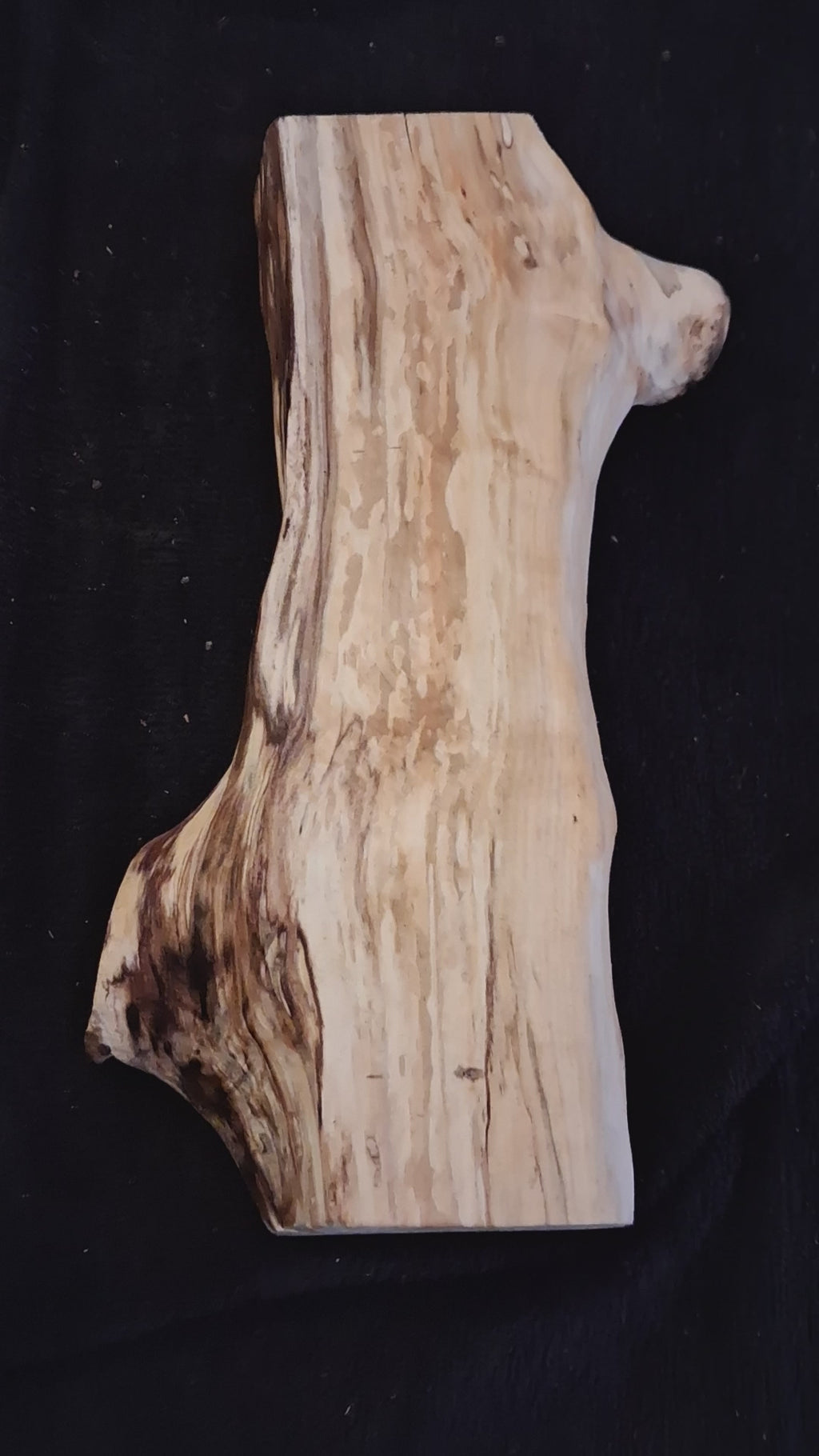 Spalted Maple Natural Log Centerpiece – One-of-a-Kind Forest Creation