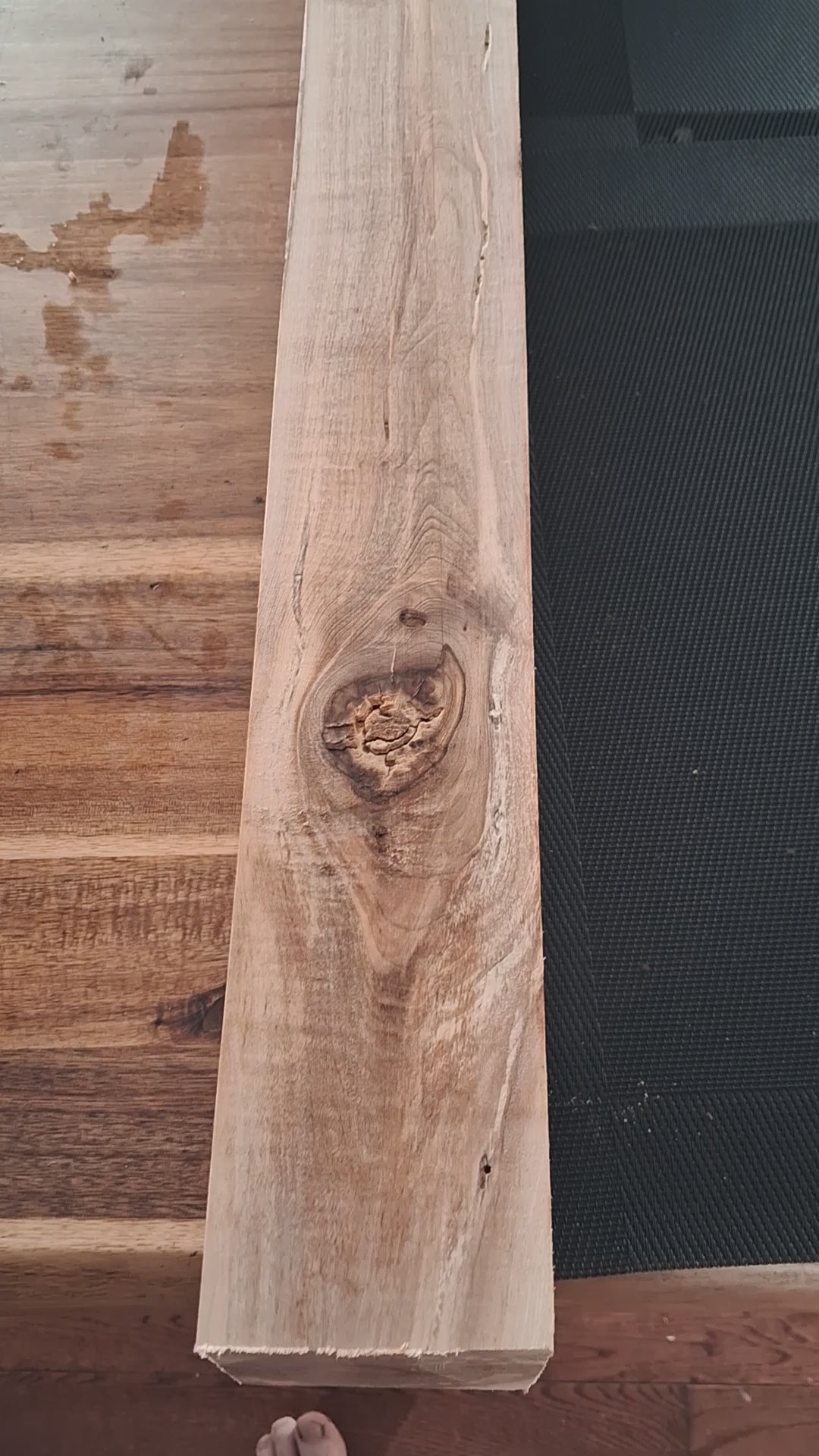 Premium Spalted Maple Timber – Exceptional Figure – Heavy Statement Piece