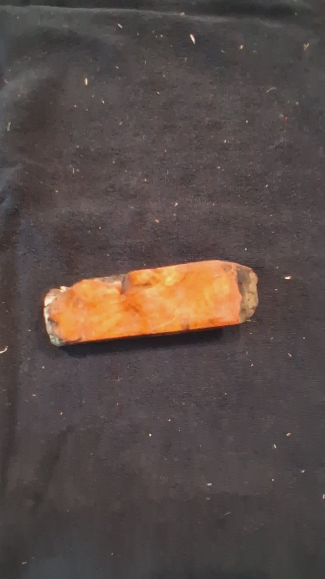 Maple Burl – One-of-a-Kind Natural Wood Piece – 6 1/2" × 1 7/8" × 7/8"
