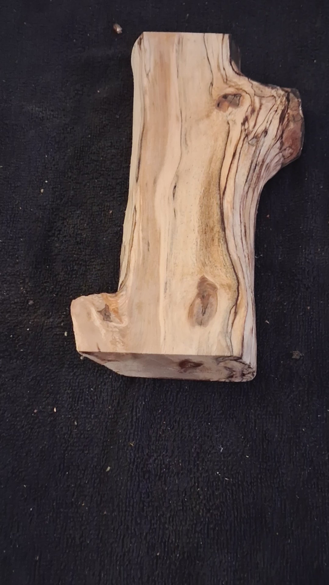 Natural Maple Branch Centerpiece – One-of-a-Kind Forest Accent